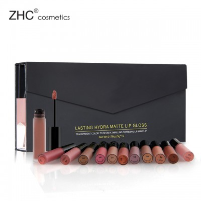 ZH3099 multi colour lipgloss high pigment cosmetics kit